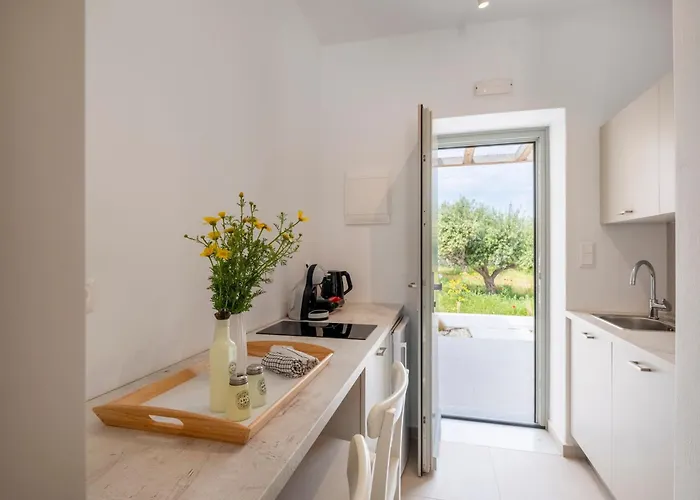 Casa de Férias Amouage *