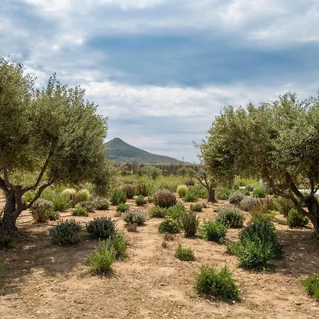 Amouage * Parikia (Paros)
